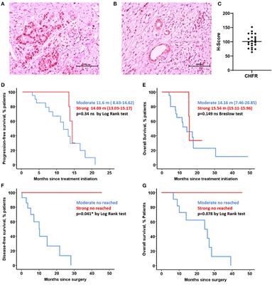 Deciphering CHFR Role in Pancreatic Ductal Adenocarcinoma